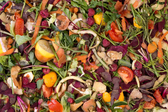 Pile of composting natural waste