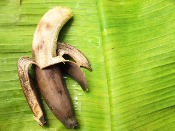 Rotten bananas on a banana leaf