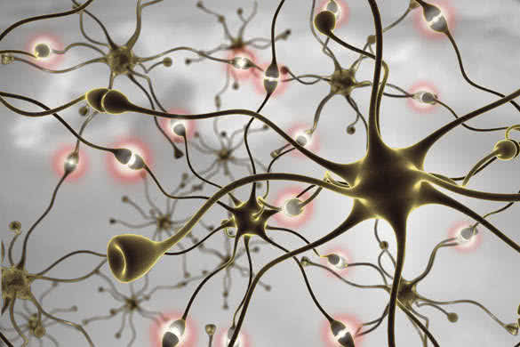 neurons transferring pulses and generating information