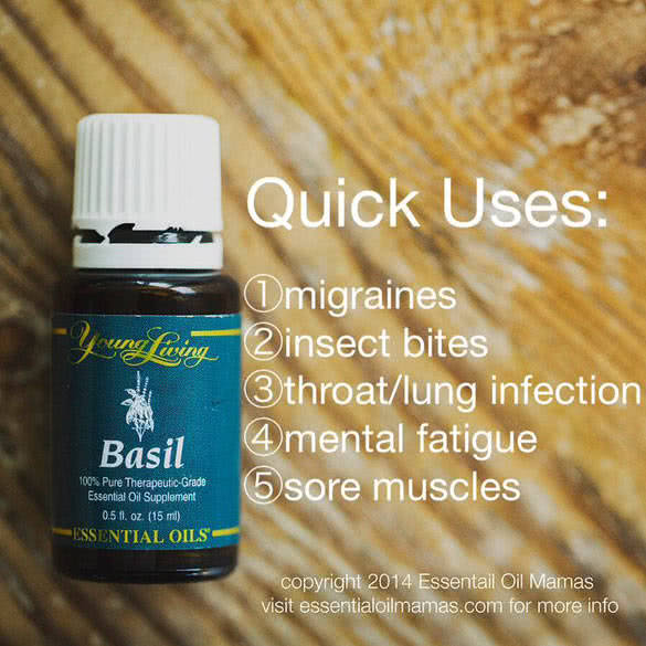 oregano oil health uses