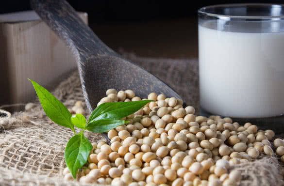 soy milk with soy beans