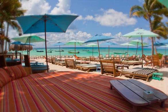 canibal royal playa del carmen