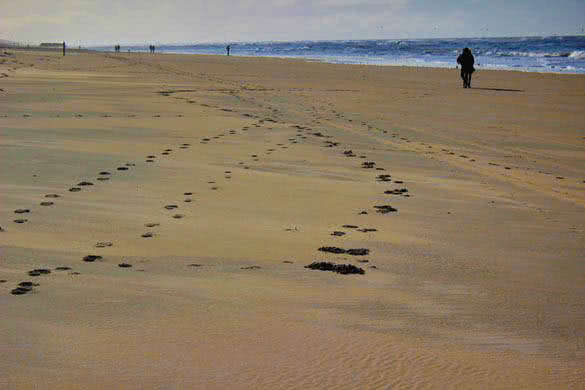 beach with footprints