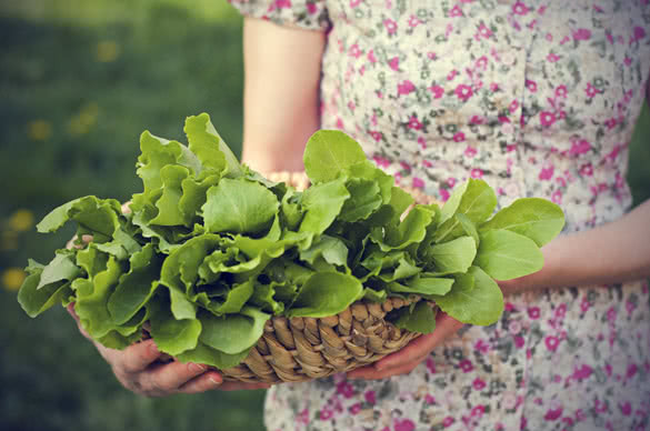 girl hands holding green salad