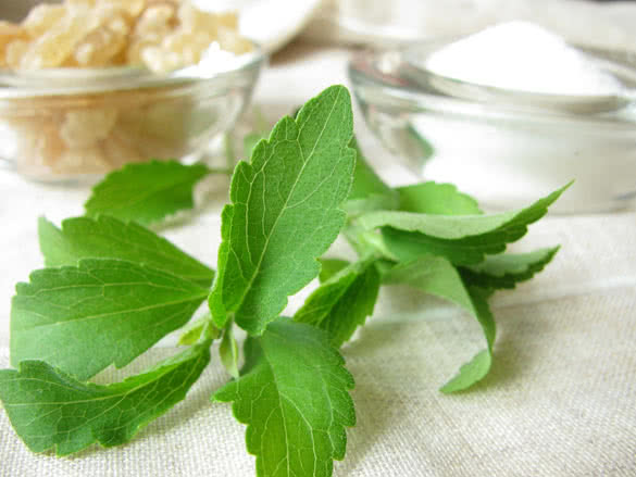 stevia plant with sugar and sugar crystals