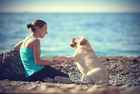 girl with her dog on beach