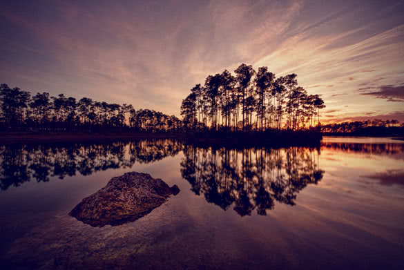 sunset on long pines key lake in everglades national park