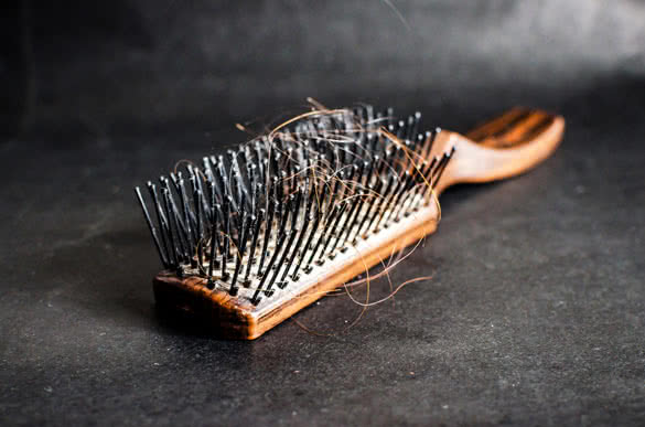 Comb and hair loss shallow depth