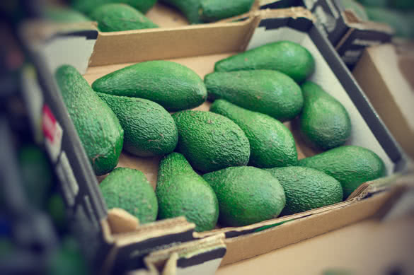 Avocado in box in supermarket 