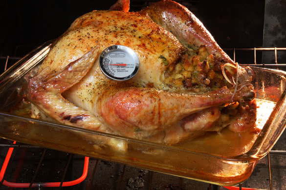 meat thermometer turkey