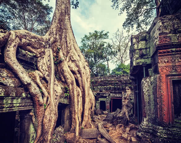 Ta Prohm temple Angkor Cambodia