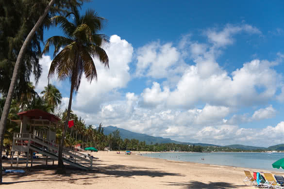 The beautiful coconut palm lined Luquillo Beach located on the large island of Puerto Rico