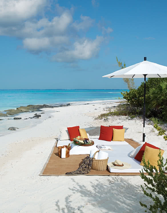 parrot cay turks and caicos