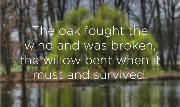 the oak fought the wind and was broken the willow bent when it must and survived