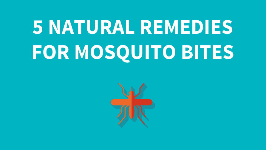 Home Remedies for Mosquito Bites 5 Natural Cures