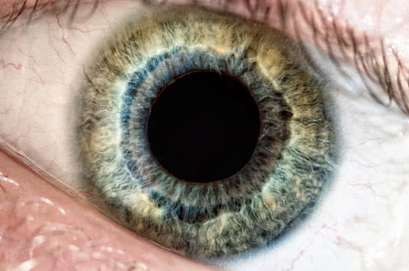 Macro shot of green and blue human eye focused on iris