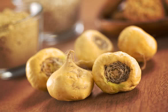 Fresh maca roots or Peruvian ginseng