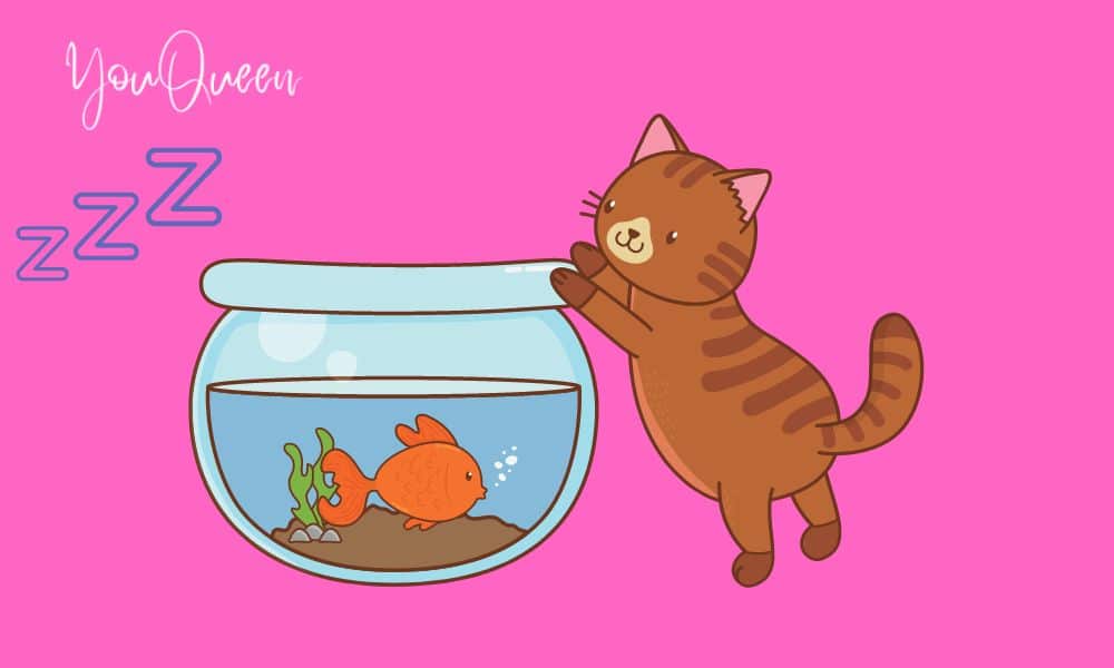 Funny Good Morning Quotes for a Joyful Day