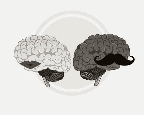 woman and men brains