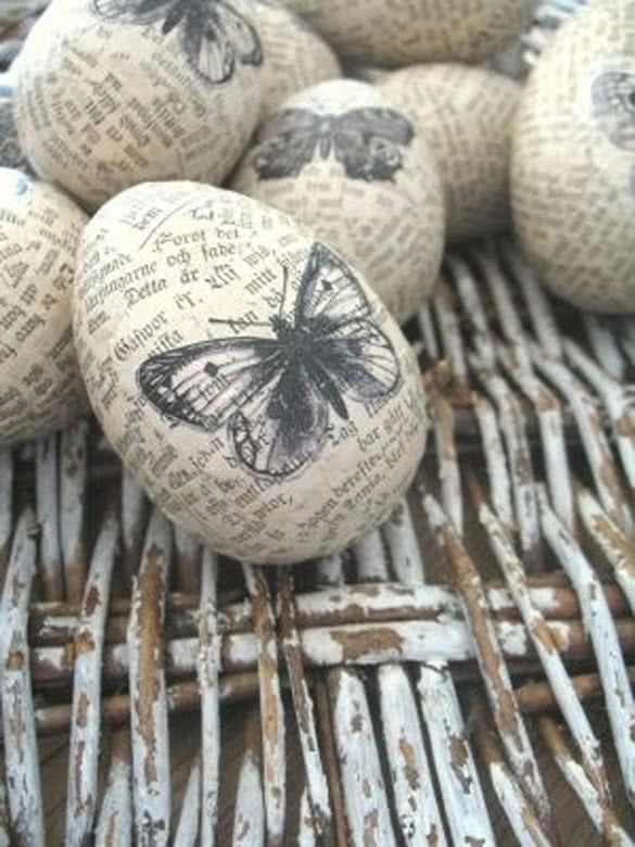 The-hipster-book-egg-butterfly