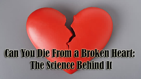 broken-haeart-science-behind-it