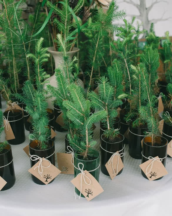 diy-wedding-gifts-plants
