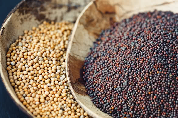 mustard-seeds