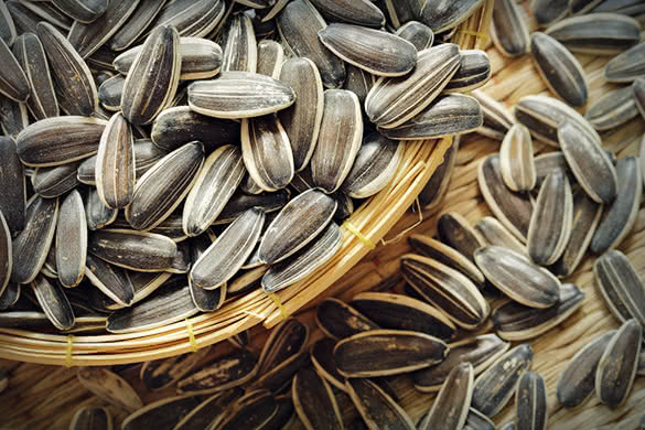 sunflower-seeds