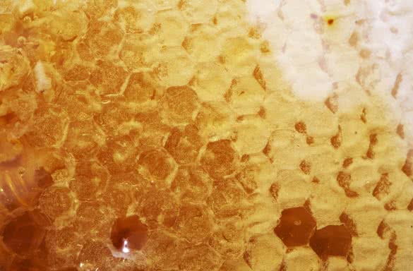 Raw Manuka Honey Cluster