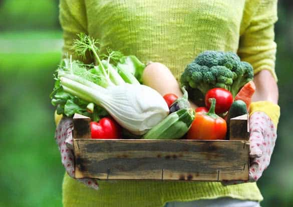 Woman wearing gloves with fresh vegetables in the box in her hands