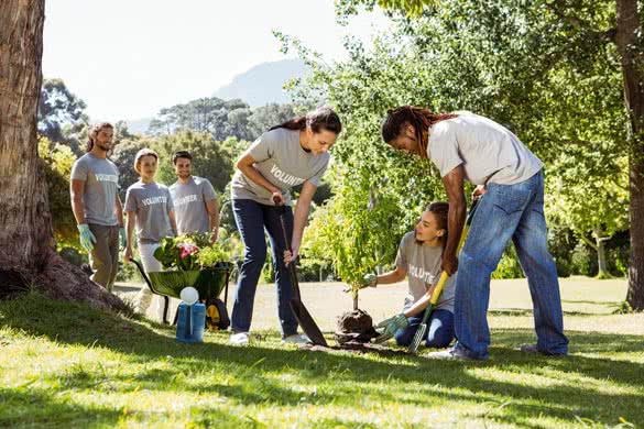 Team of volunteers gardening together on a sunny day