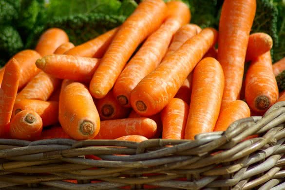 Healthy carrots