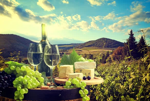 White wine with barrel on vineyard in Chianti