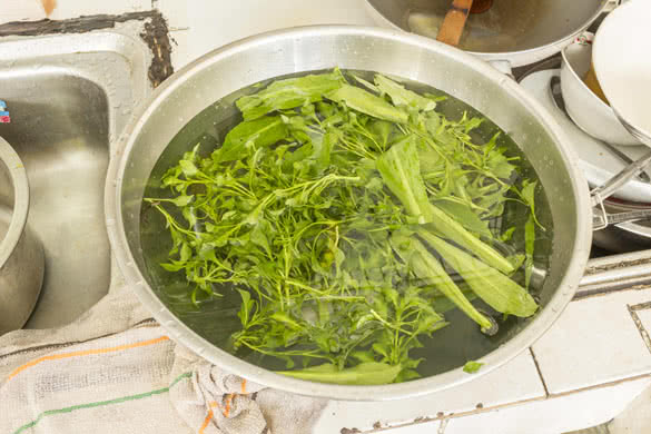 Parsley in water