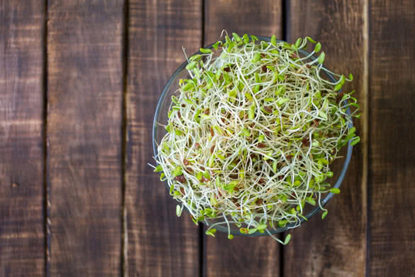 heap of alfalfa sprouts