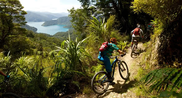 new zealand mountain biking