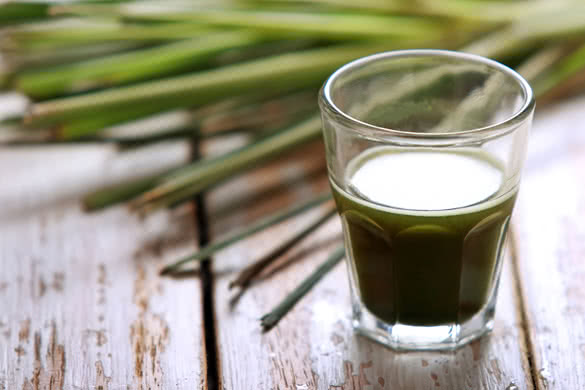 portrait of a shot glass of wheatgrass