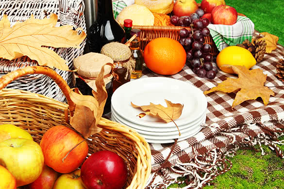 fall picnic