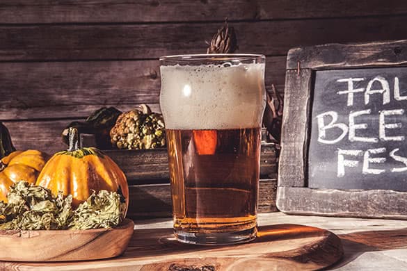 Pumpkin Cider Beertail