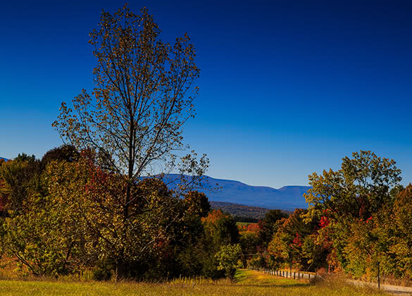 the catskills