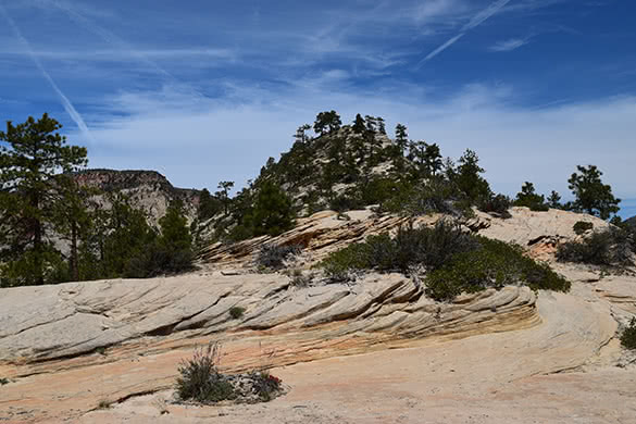 Zion National Park 