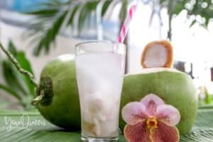 4 Benefits of Drinking Coconut Water