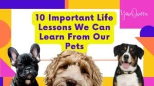 10 Important Life Lessons We Can Learn From Our Pets