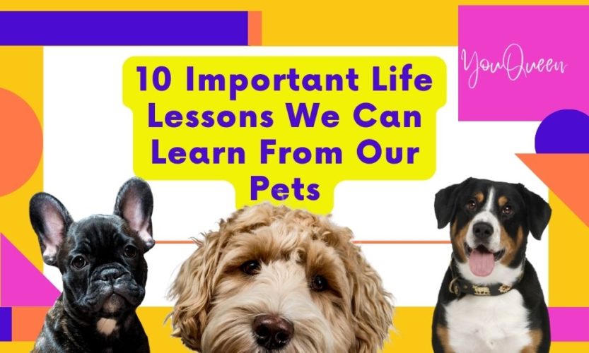 10 Important Life Lessons We Can Learn From Our Pets