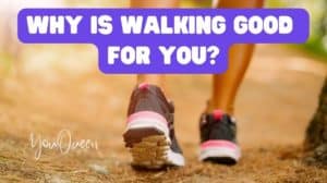 Why Is Walking Good for You?