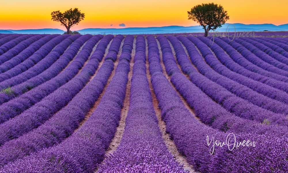 Provence in France