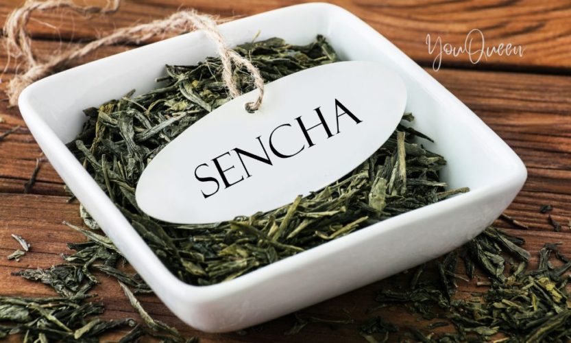 Sencha