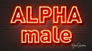 What’s So Good About the Alpha Male and Does He Really Exist