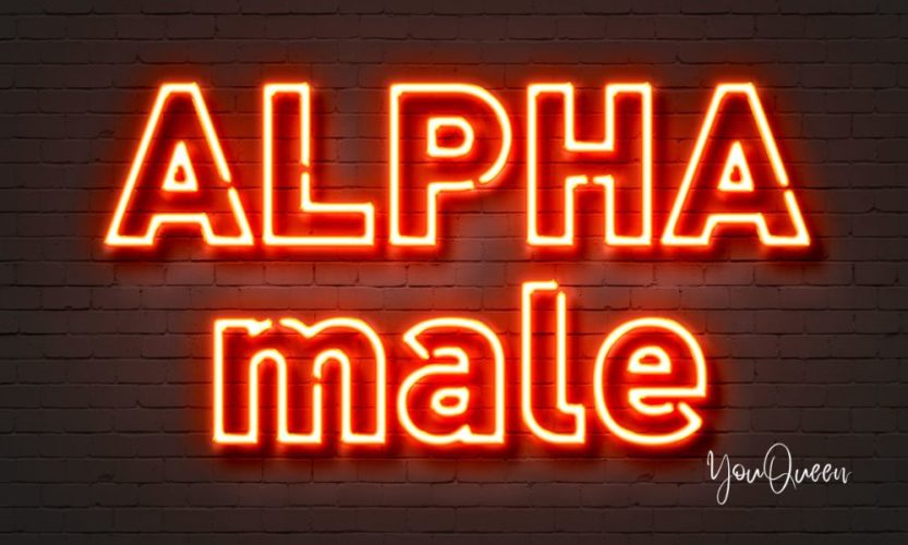 What’s So Good About the Alpha Male and Does He Really Exist