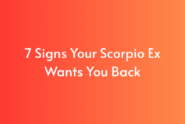 7 Signs Your Scorpio Ex Wants You Back